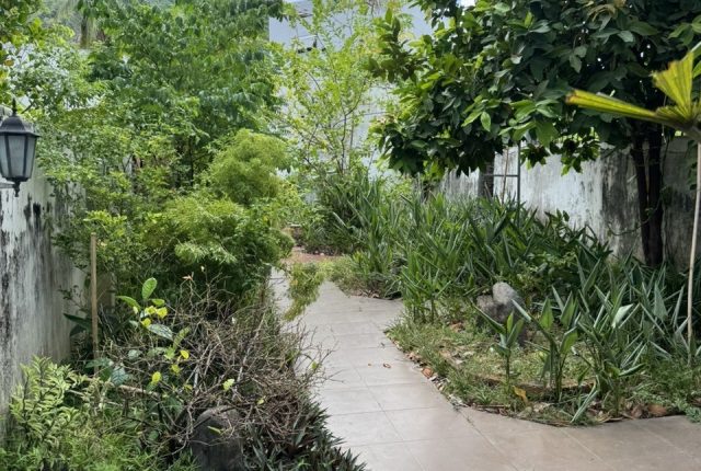 Nhà bán đại lộ Nguyễn Tất Thành Nha Trang 366,3m², nhà 2 tầng, mặt tiền đường lớn