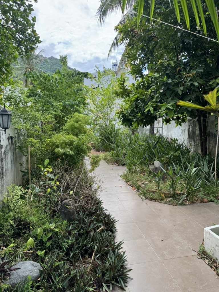 Nhà bán đại lộ Nguyễn Tất Thành Nha Trang 366,3m², nhà 2 tầng, mặt tiền đường lớn - ảnh 1