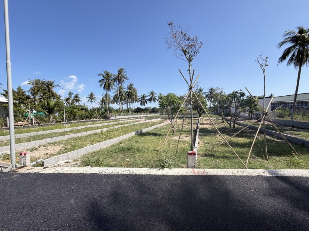 Đất bán Mỹ Ca Cam Ranh 151m², sát chợ, cách Quốc lộ 1A 200m - ảnh 1