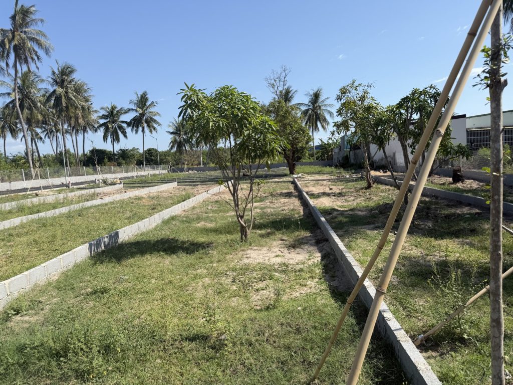 Đất bán Mỹ Ca Cam Ranh 148,5m², sát chợ, cách Quốc lộ 1A 200m - ảnh 3