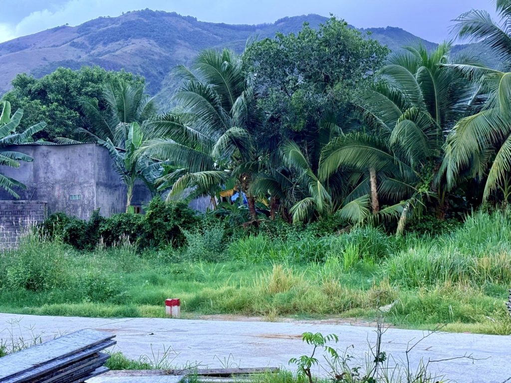 Đất bán thôn An Ninh Diên Khánh 103m², ngang 6,2m, đường bê tông 5m - ảnh 3