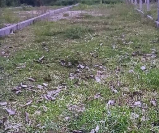 Đất bán Suối Hiệp Diên Khánh 145m², sổ đỏ chính chủ, dưới 1 tỷ