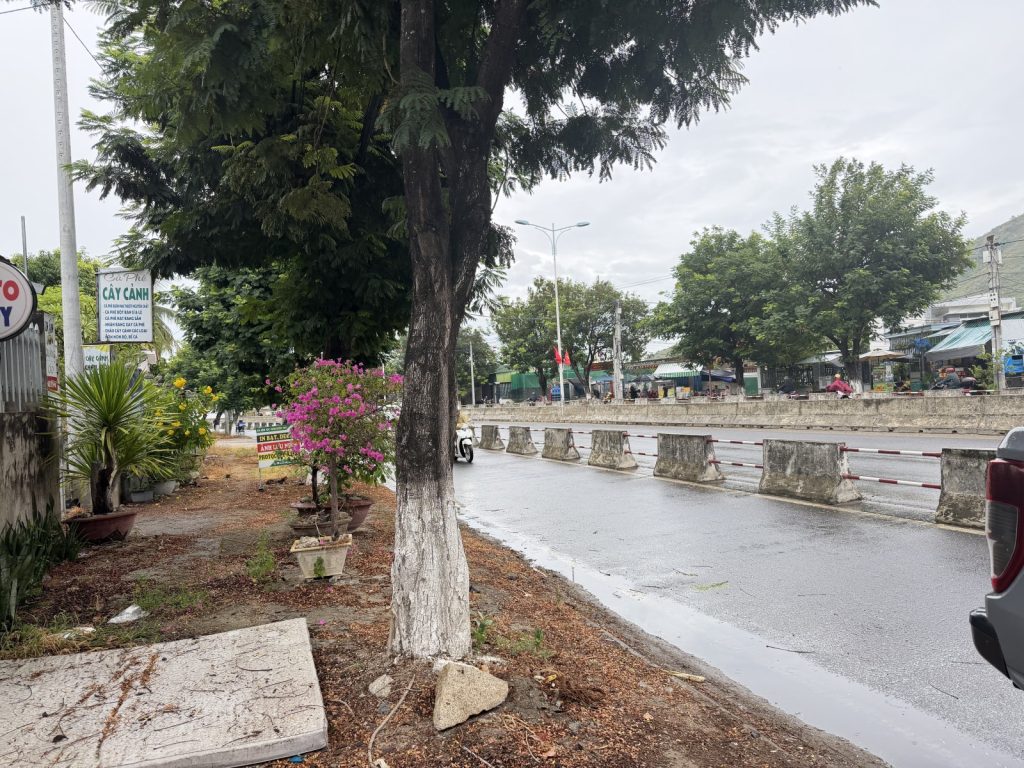 Đất bán đại lộ Nguyễn Tất Thành Nha Trang 570m², hai mặt tiền, chia được 4 lô - ảnh 3
