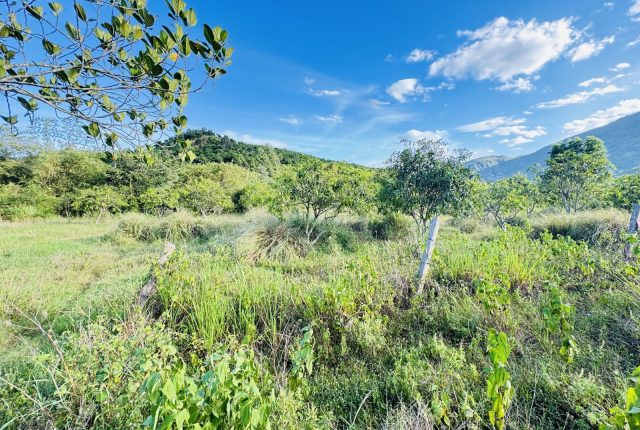 Đất bán Vĩnh Phương Nha Trang 8.821m², kèm vườn xoài, cạnh đập Hồ Đắc Lộc