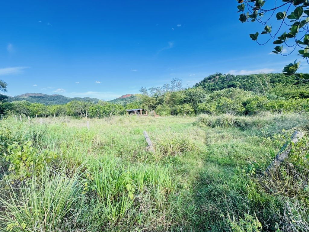 Đất bán Vĩnh Phương Nha Trang 8.821m², kèm vườn xoài, cạnh đập Hồ Đắc Lộc - ảnh 2