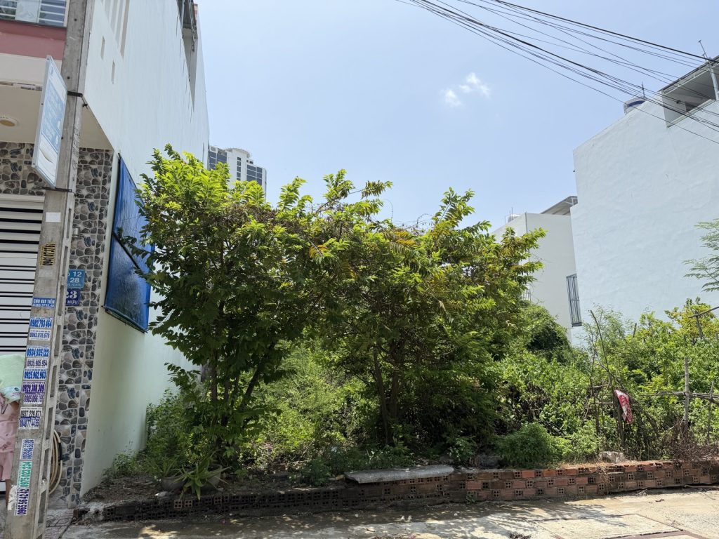 Đất bán mặt tiền đường Vũ Hữu Nha Trang 80m², cách Phạm Văn Đồng 200m - ảnh 2