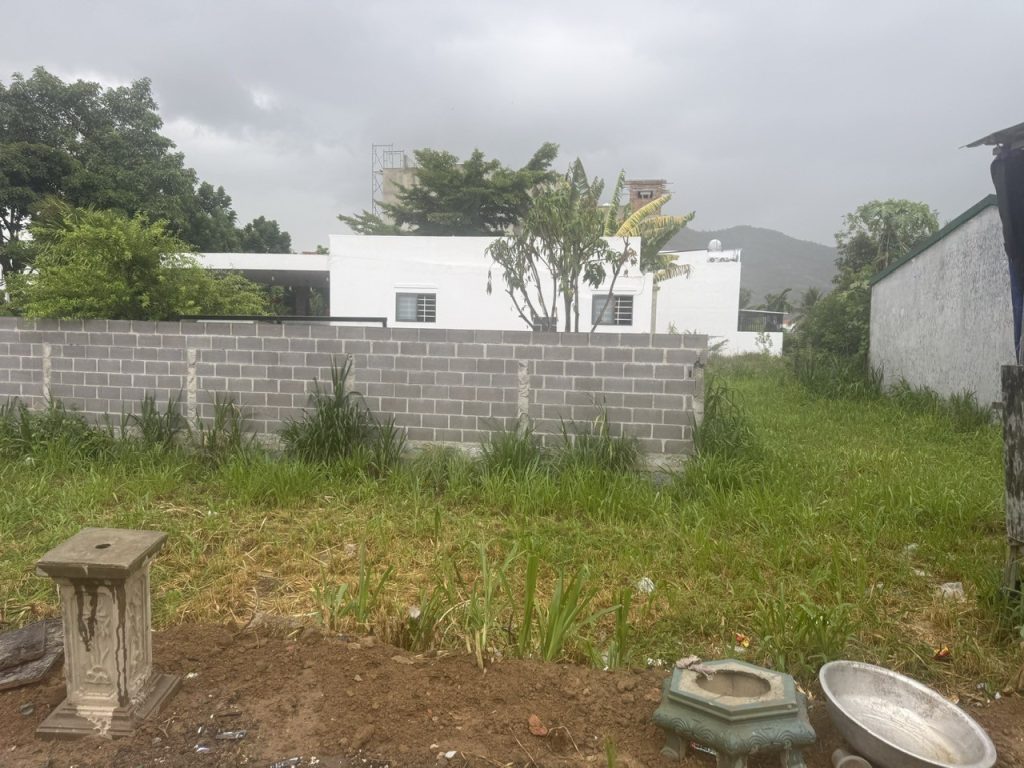 Đất bán Diên Điền Diên Khánh 196m², thổ cư 100%, hai mặt tiền ngang 7,3m - ảnh 3