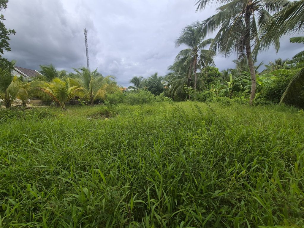 Đất bán Ninh Lộc Ninh Hòa 236m², hai lô liền kề, mỗi lô 60m² thổ cư - ảnh 2