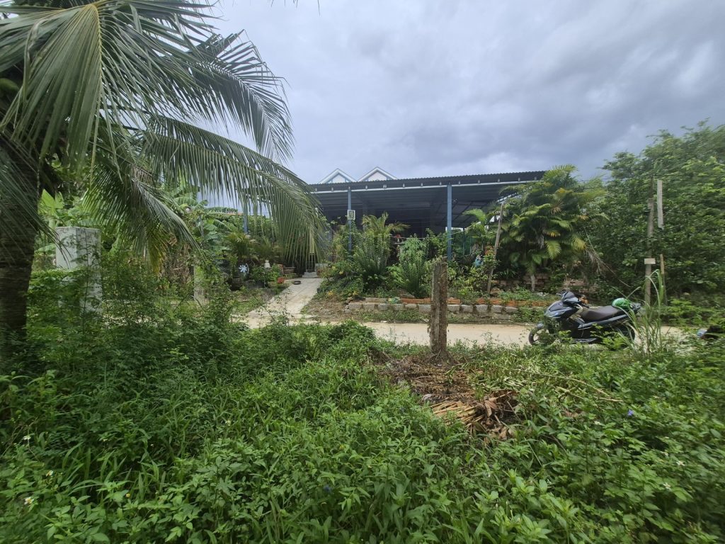 Đất bán Ninh Lộc Ninh Hòa 236m², hai lô liền kề, mỗi lô 60m² thổ cư - ảnh 3