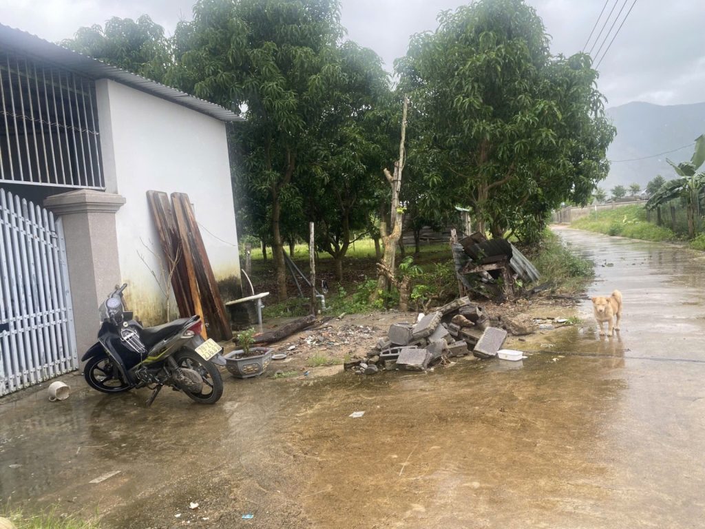 Đất bán Suối Cát Cam Lâm 446m², có sẵn nhà, ngang 7m dài 63m - ảnh 3
