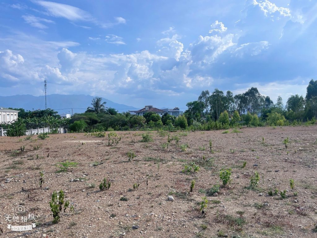 Đất bán Ninh Hòa 1.208,7m², ngang 29,5m dài 41m - ảnh 2