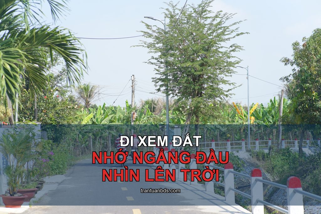 Đi xem đất nhớ nhìn lên trời: hành lang lưới điện
