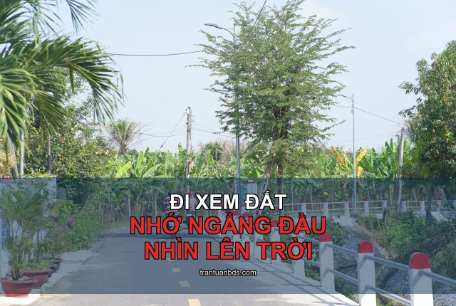 Đi xem đất nhớ nhìn lên trời: hành lang lưới điện