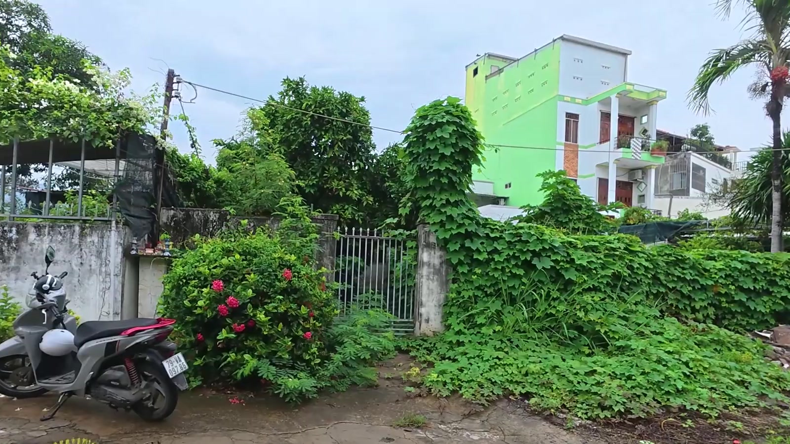 Lô đất 109m2 có nhà cũ, cây cối mọc um tùm ở khu Vĩnh Châu, phường Tây Nha Trang