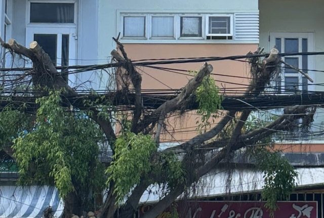 Nhà 3 tầng lô góc mặt tiền Phước Long, Nha Trang 70m², đất ở đô thị 100%