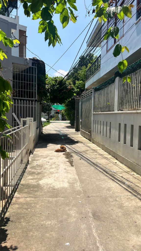 Đất lô góc Vĩnh Thạnh, Tây Nha Trang 61,4m², đường bê tông ô tô - ảnh 5