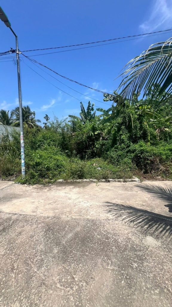 Đất Vĩnh Trung, Tây Nha Trang 89m² ngang 5m, quy hoạch ra 2 mặt đường 30m - ảnh 3