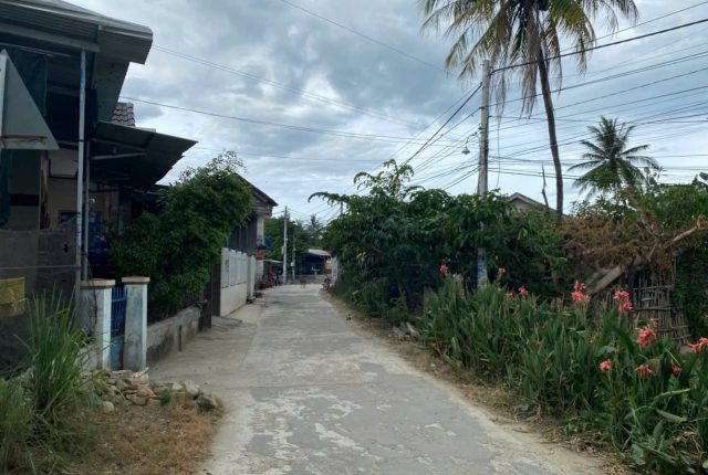 Đất thôn Tân Phú, Ninh Hòa 200m² ngang 13m, đất trồng cây lâu năm