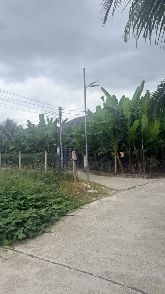 Đất thôn An Ninh, Diên An, Diên Khánh 278,8m², có 120m² thổ cư, ngang 6,5m nở hậu - ảnh 1