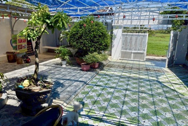 Nhà cấp 4 thôn Vân Thạch, Ninh Hòa 203m² ngang 10m dài 20m