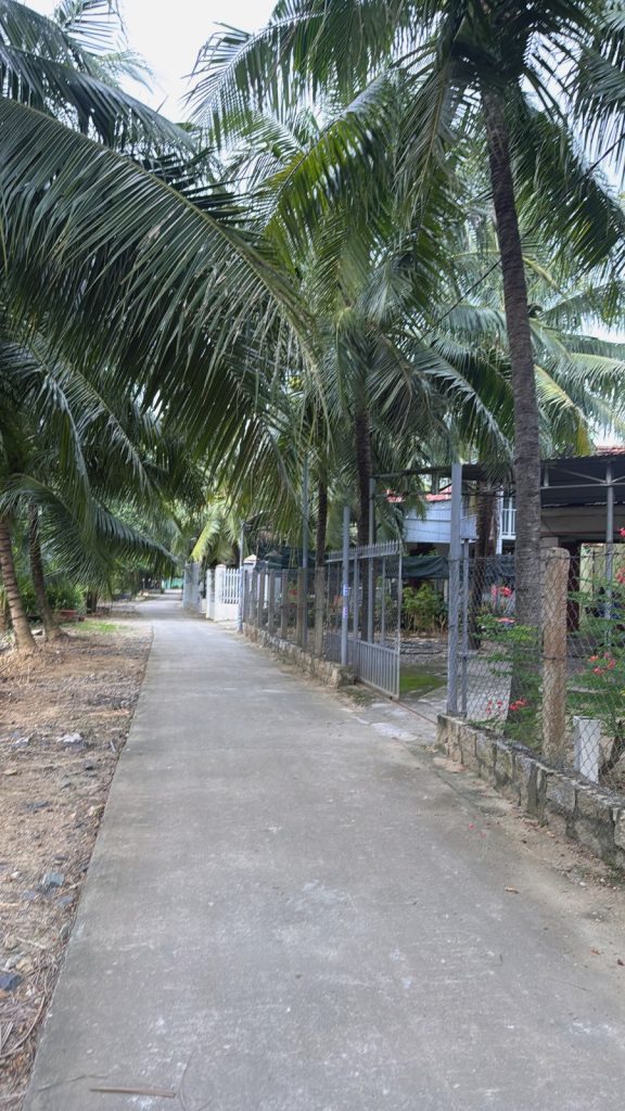 Đất ở đô thị Đắc Lộc, Vĩnh Phương, Nha Trang 80m², lô góc 2 mặt tiền, gần Quốc lộ 1A - ảnh 1