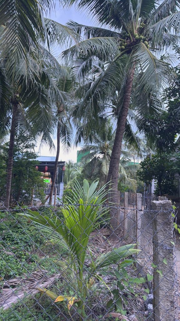 Đất ở đô thị Đắc Lộc, Vĩnh Phương, Nha Trang 80m², lô góc 2 mặt tiền, gần Quốc lộ 1A - ảnh 4
